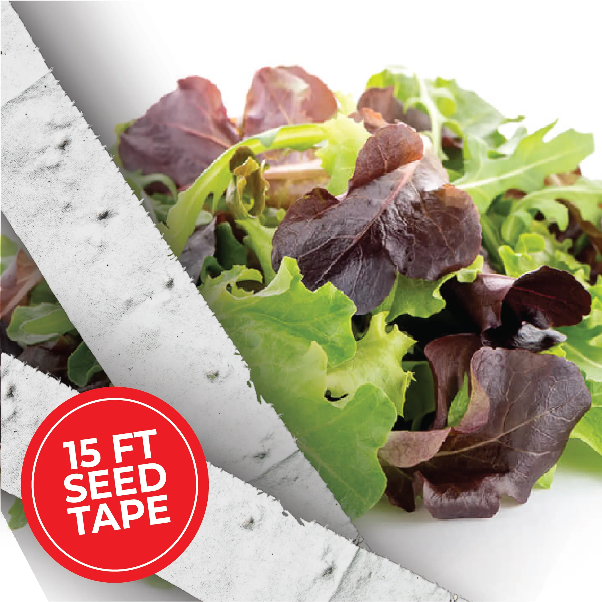Baby Leaf Greens Mix Seed Tape