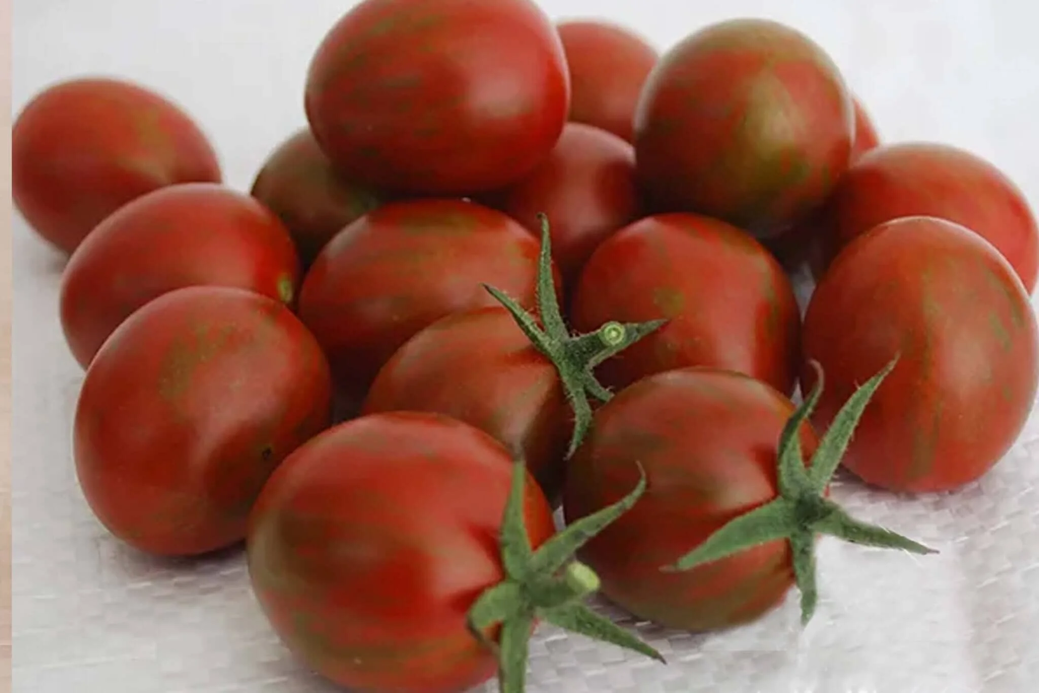 Cream of the Crop - Plum Drop Hybrid Tomato F1