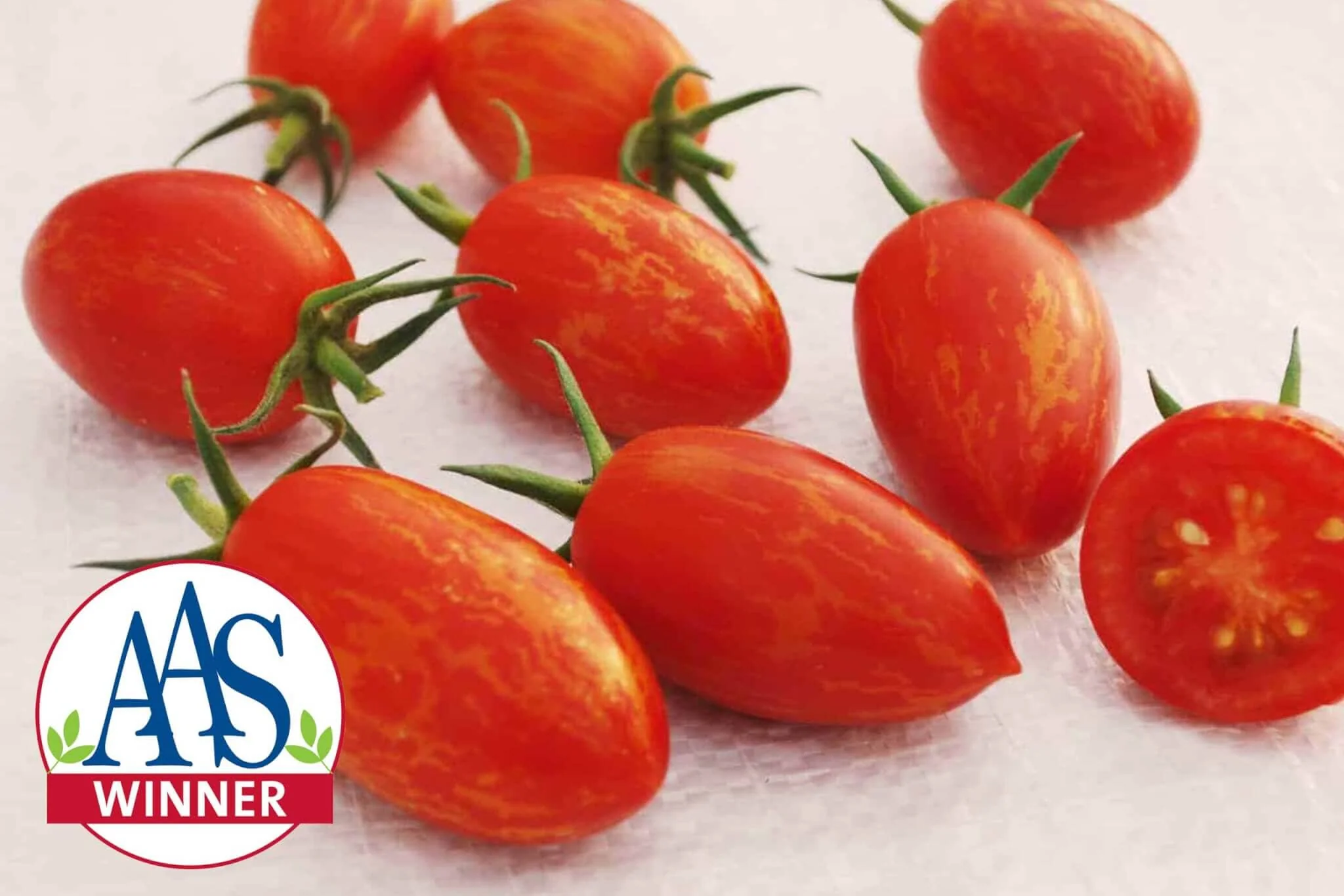 Cream of the Crop - Red Torch Hybrid Tomato F1