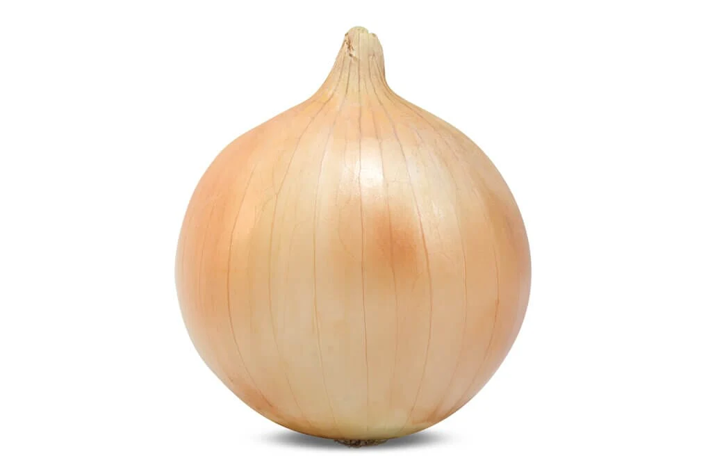 Duster Hybrid Onion F1