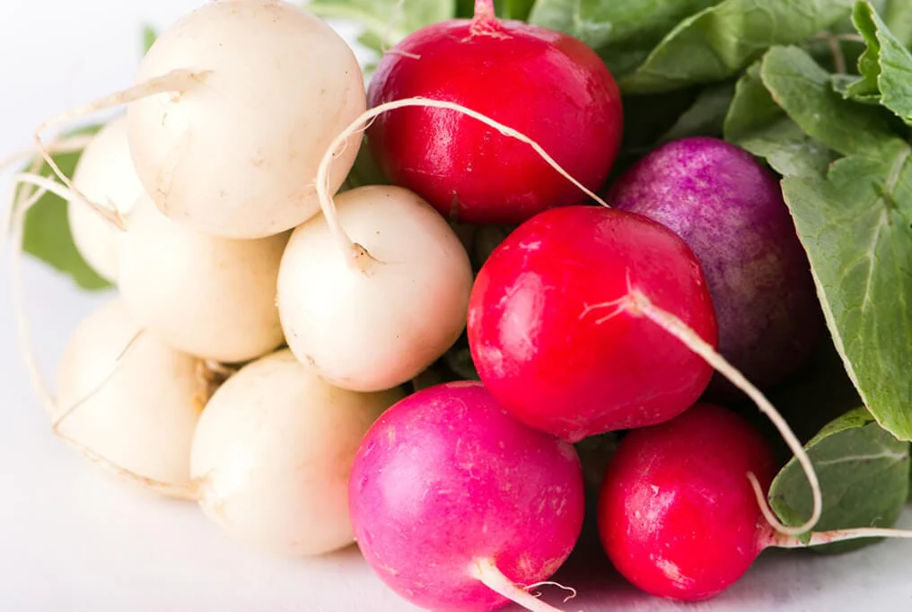 Easter Egg Radish