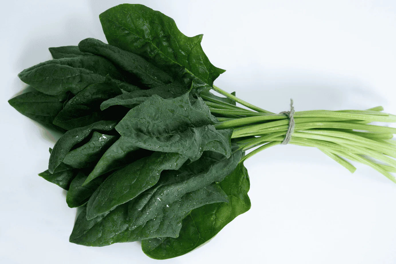 Imperial Valley Hybrid Spinach F1 - Image 2