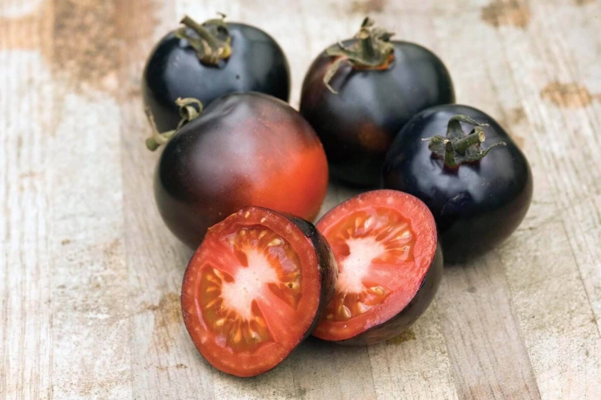 Indigo Rose Tomato