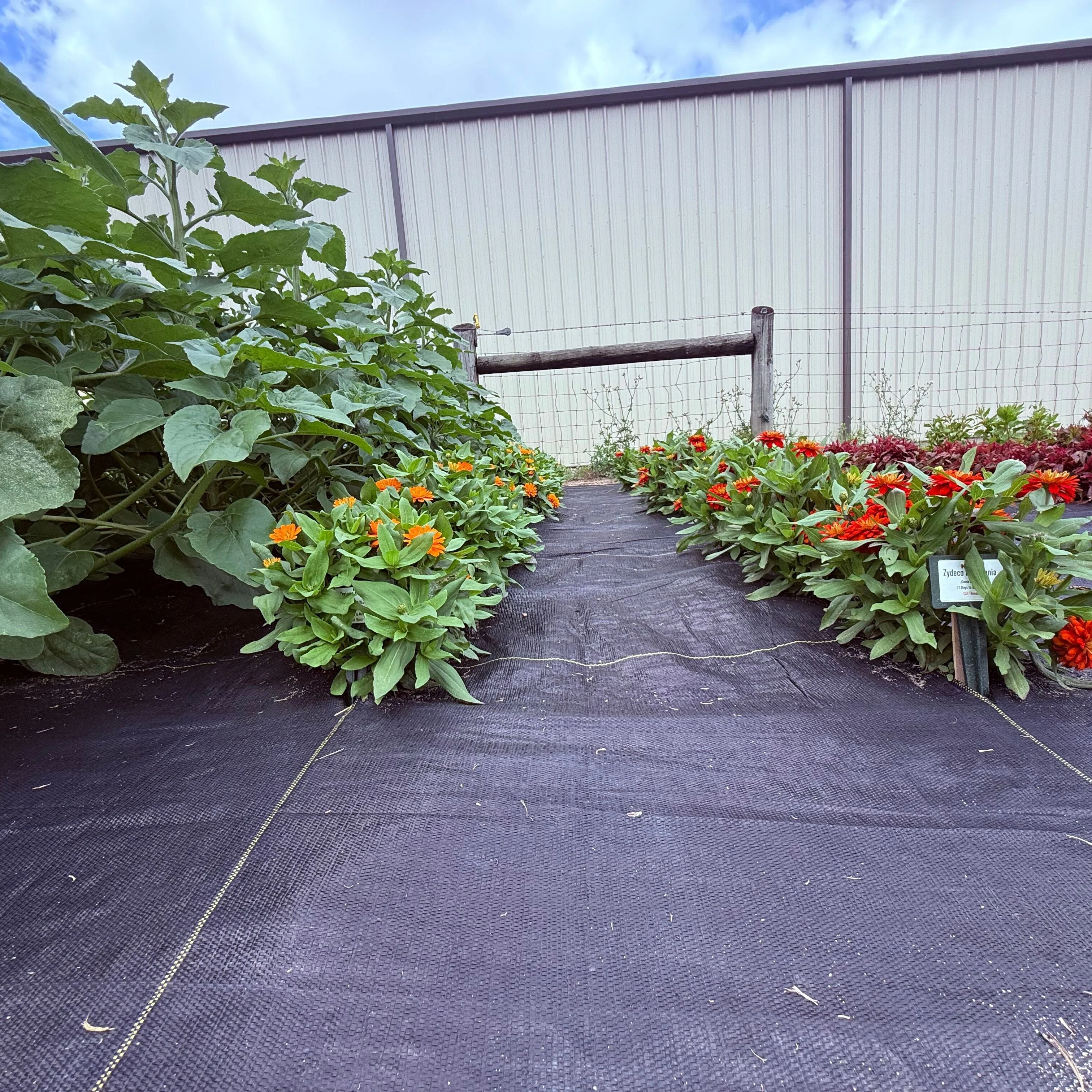 Lazy Garden Kit - Image 4