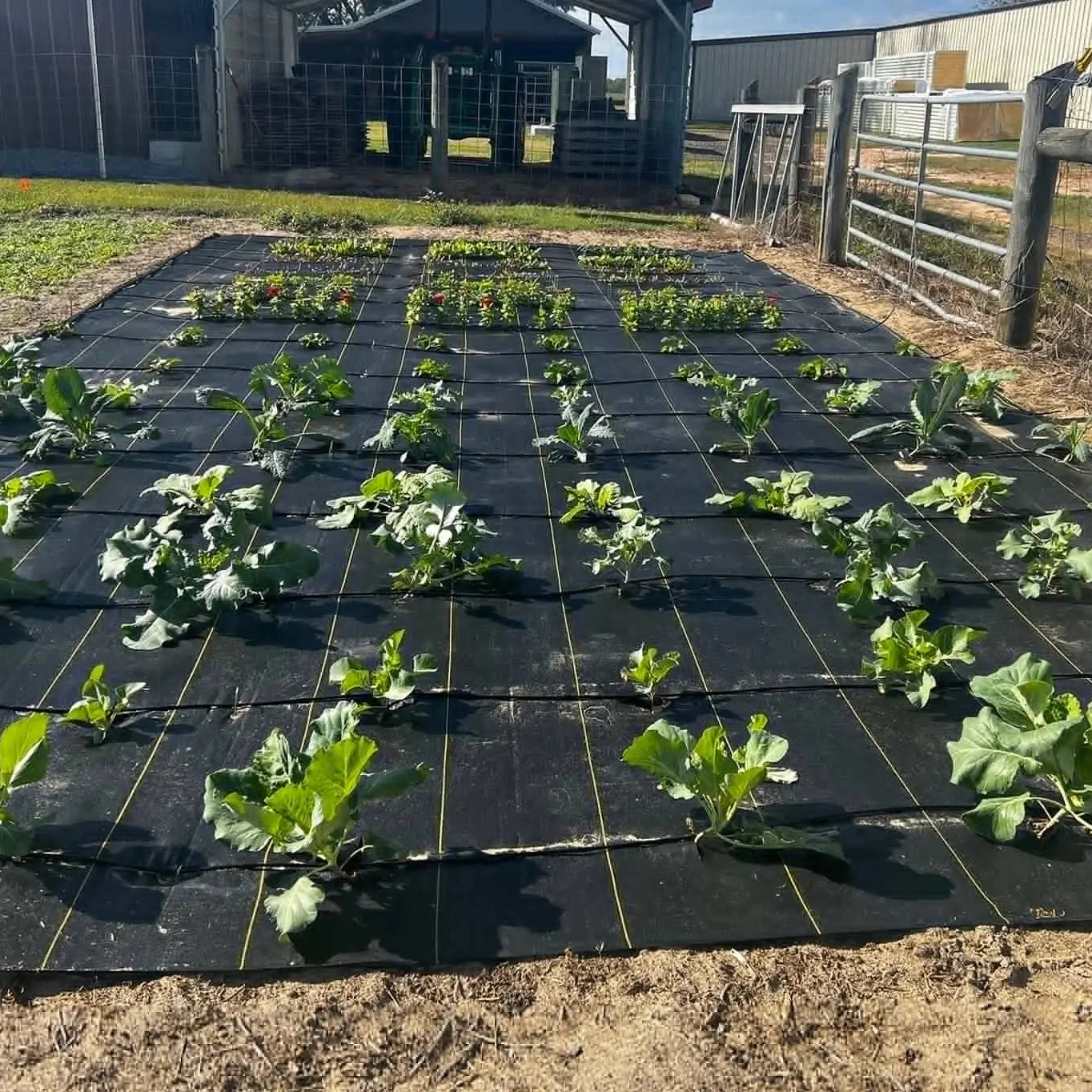 Lazy Garden Kit - Image 2