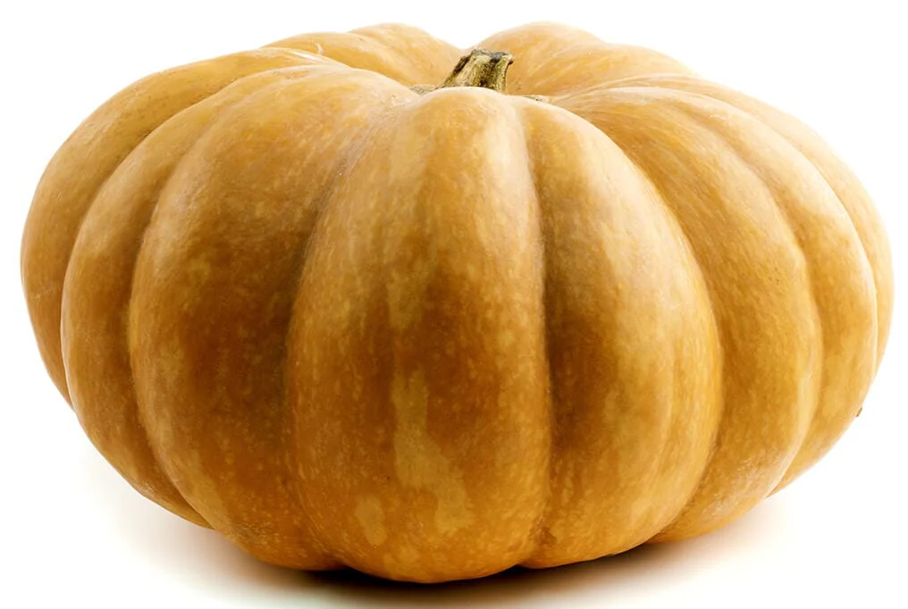 Long Island Cheese Pumpkin