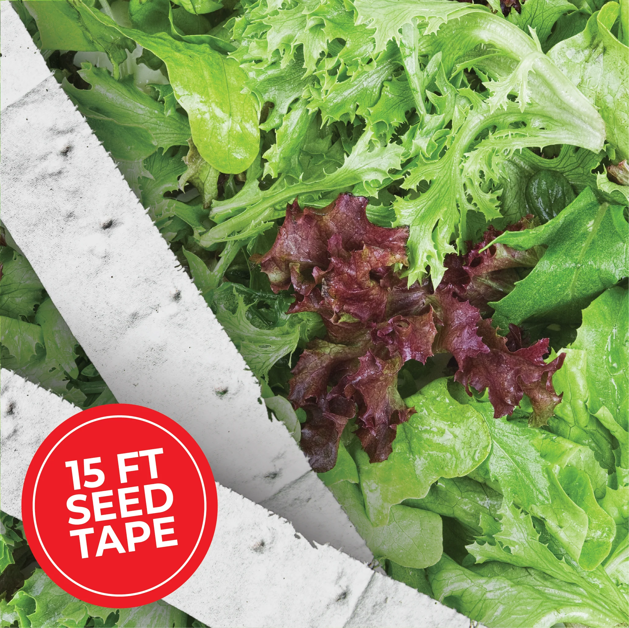 Oakleaf Salad Bowl Lettuce Mix Seed Tape