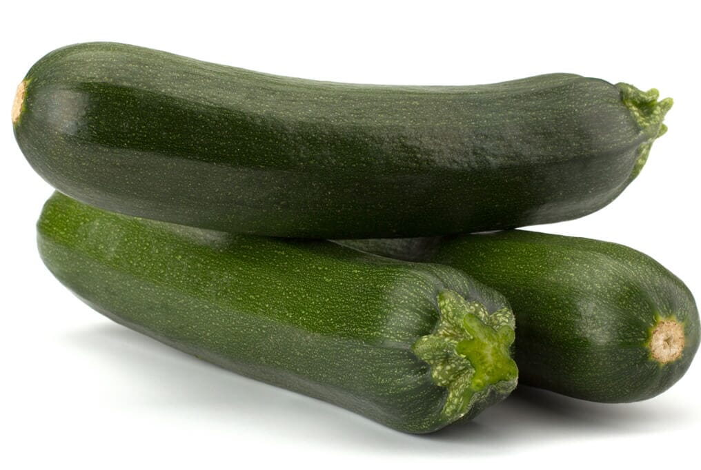 Pascola Hybrid Zucchini F1