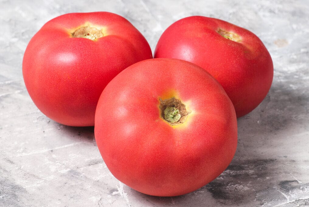 Pink Girl Hybrid Tomato F1