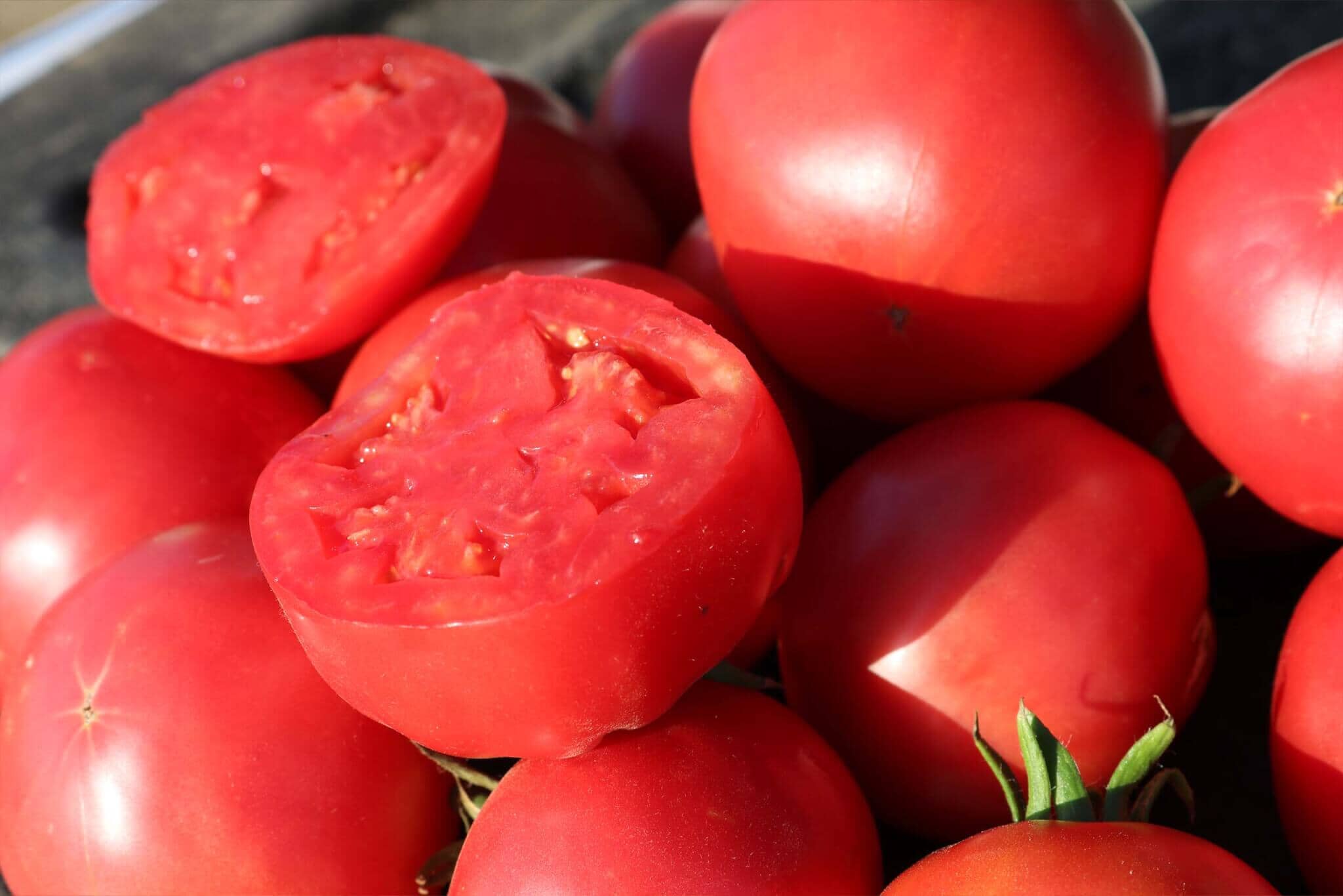 Pink Girl Hybrid Tomato F1 - Image 3