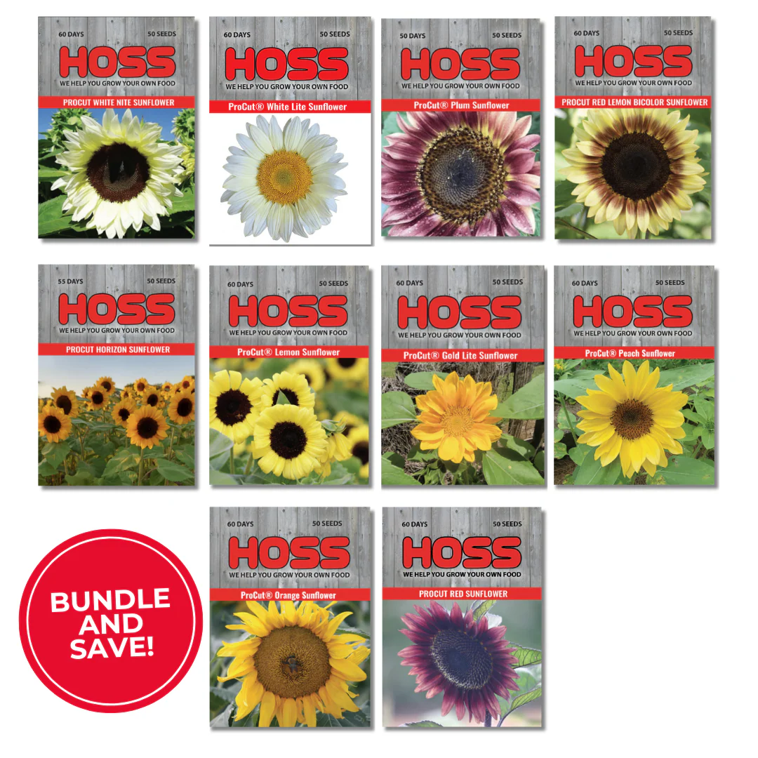 ProCut® Sunflower Bundle