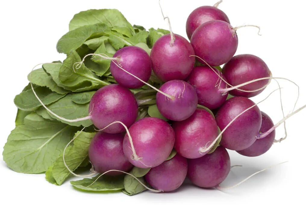 Purple Plum Radish