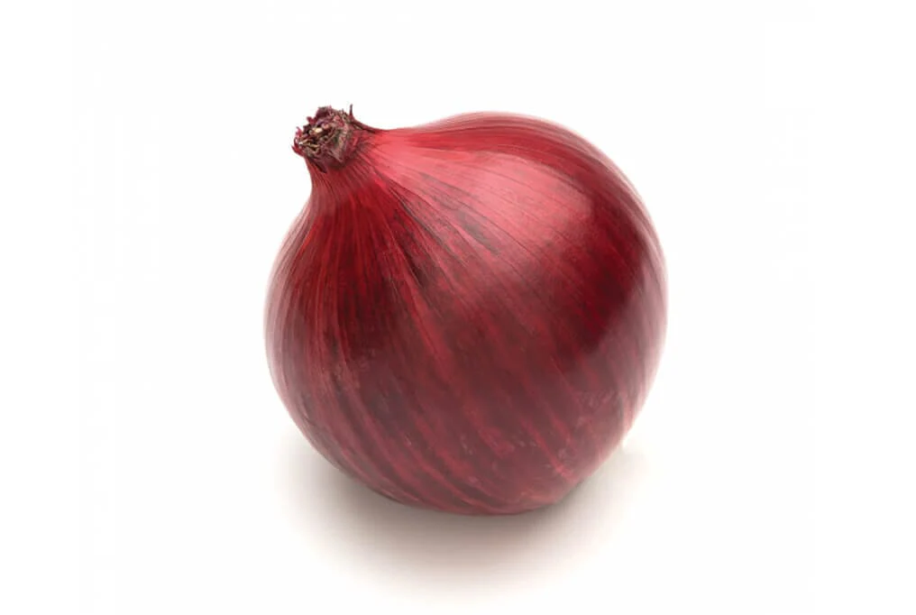 Red Nugent Hybrid Onion F1