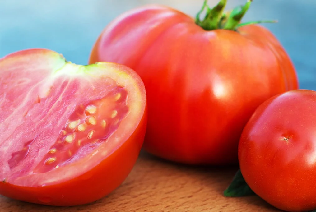 Rutgers Tomato
