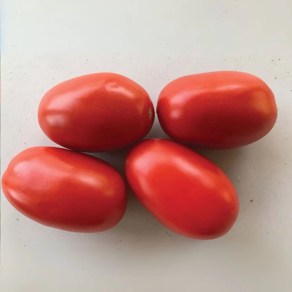 Shelby (STM2117) Hybrid Tomato F1 - Image 2