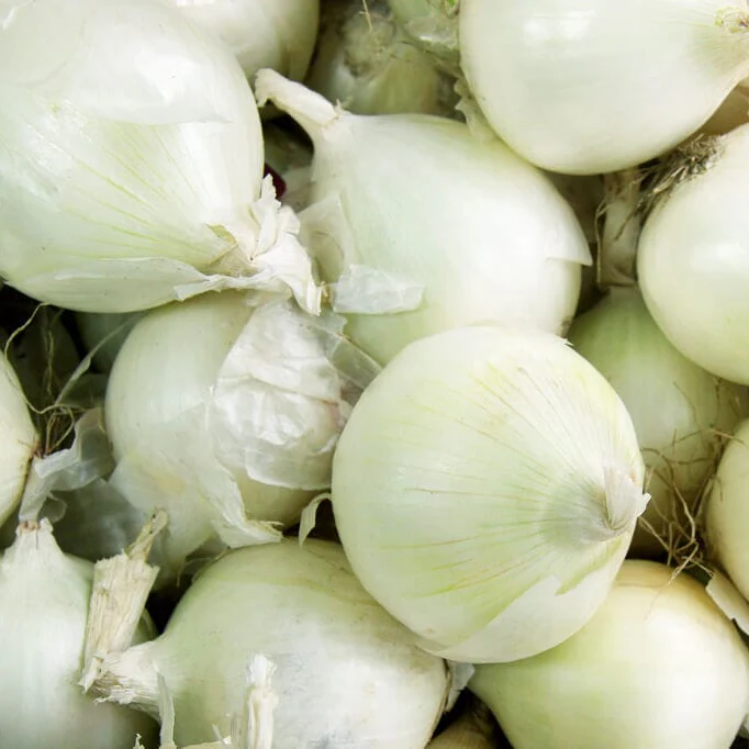 Sierra Blanca Hybrid Onion F1