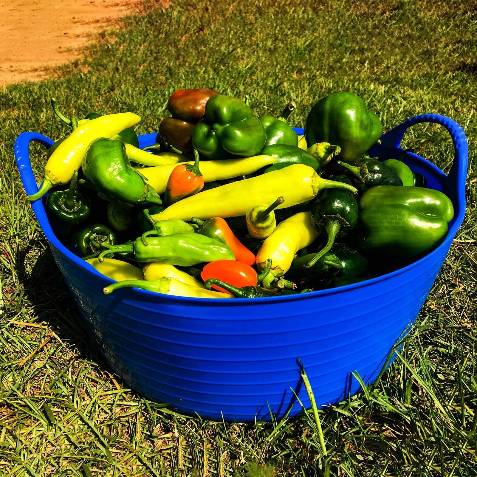 Small Shallow Tubtrug - 4 Gallons