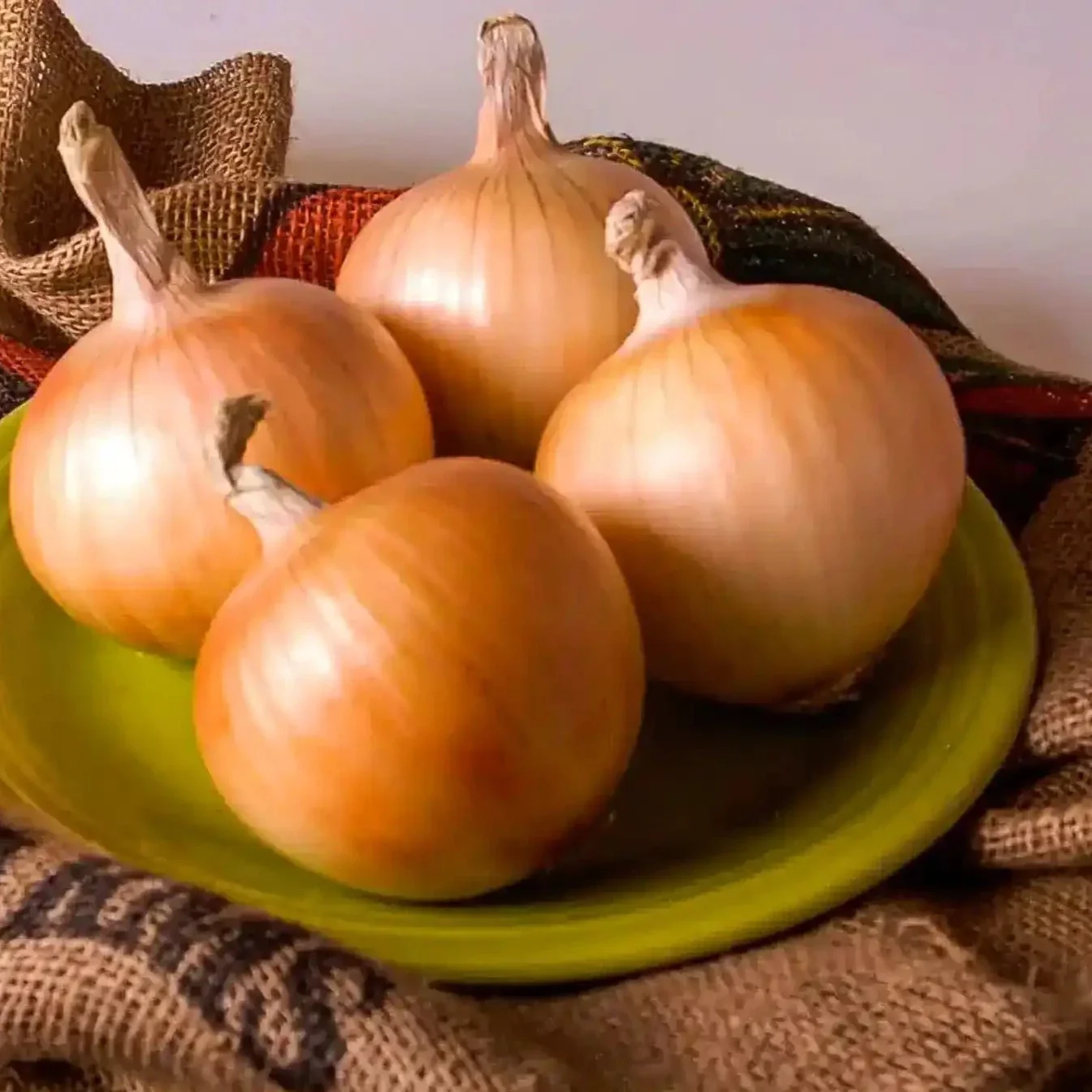 Texas Grano 502 Onion