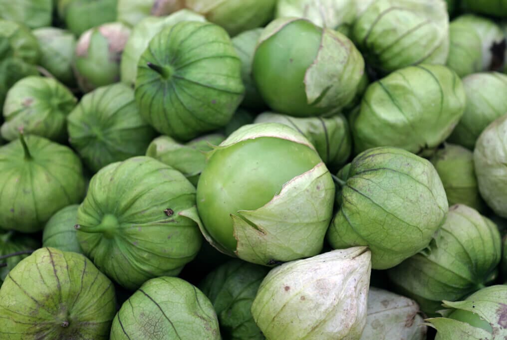 Toma Verde Tomatillo